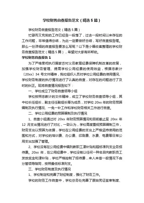 学校财务自查报告范文（精选5篇）