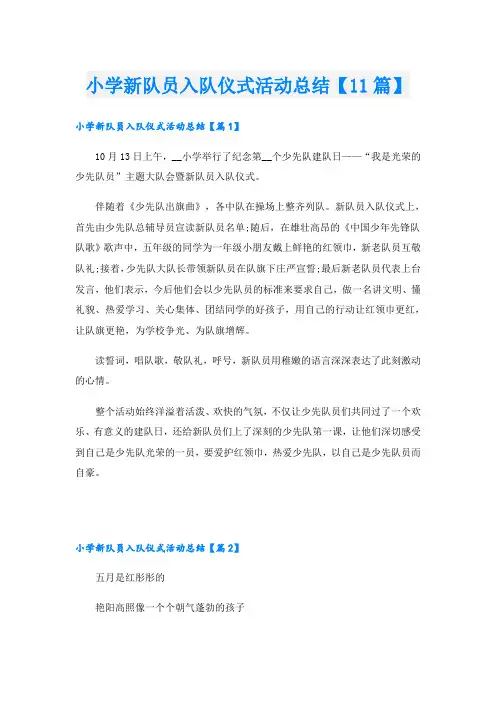 小学新队员入队仪式活动总结【11篇】