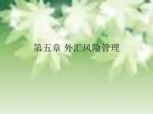 第五章 外汇风险管理