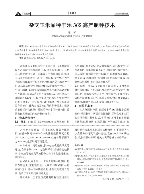 杂交玉米品种丰乐365高产制种技术