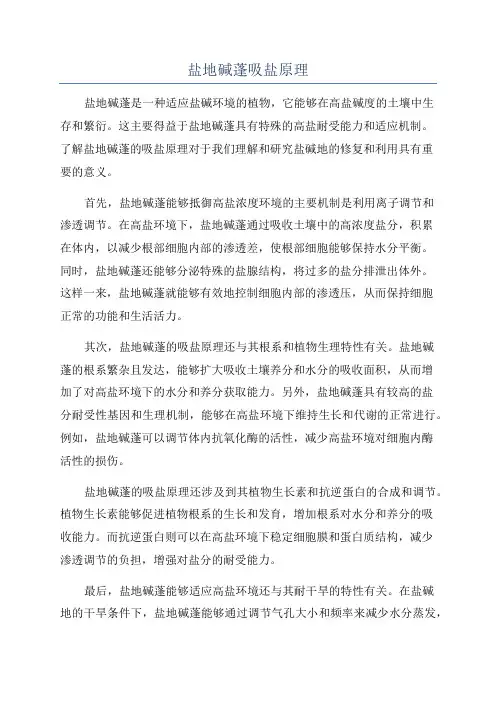 盐地碱蓬吸盐原理