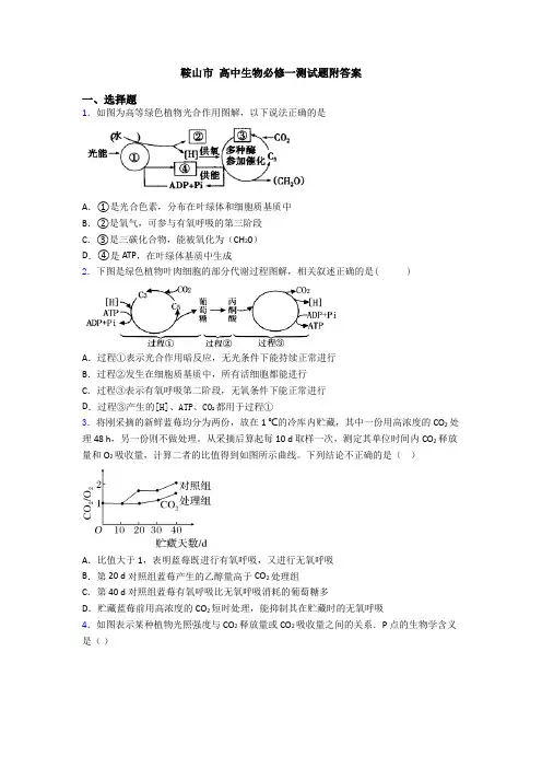 鞍山市 高中生物必修一测试题附答案