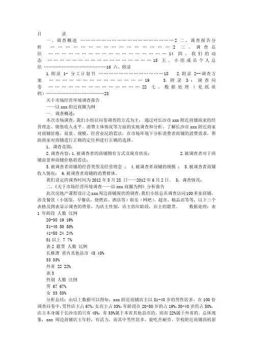 店面调研报告.PPT