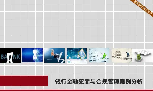 银行金融犯罪与合规管理案例分析.