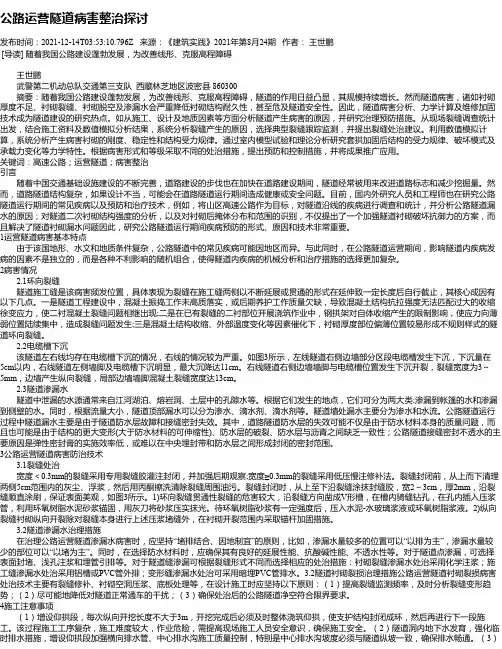 公路运营隧道病害整治探讨