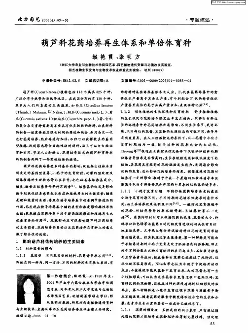 葫芦科花药培养再生体系和单倍体育种