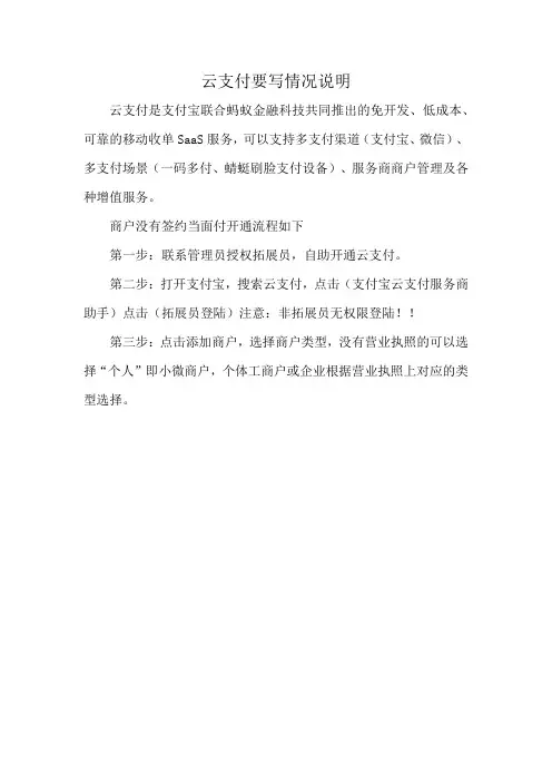 云支付要写情况说明