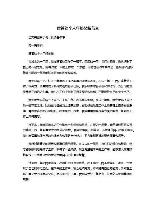 建管处个人年终总结范文