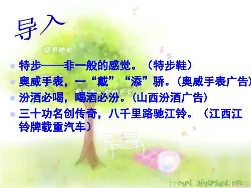 语言表达的十八般武艺修辞手法33页PPT.pptx