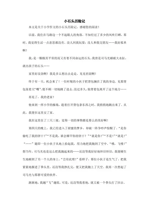 小石头历险记_小学作文