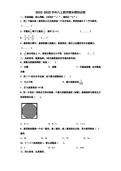 上海市2022-2023学年数学六年级第一学期期末经典模拟试题含解析