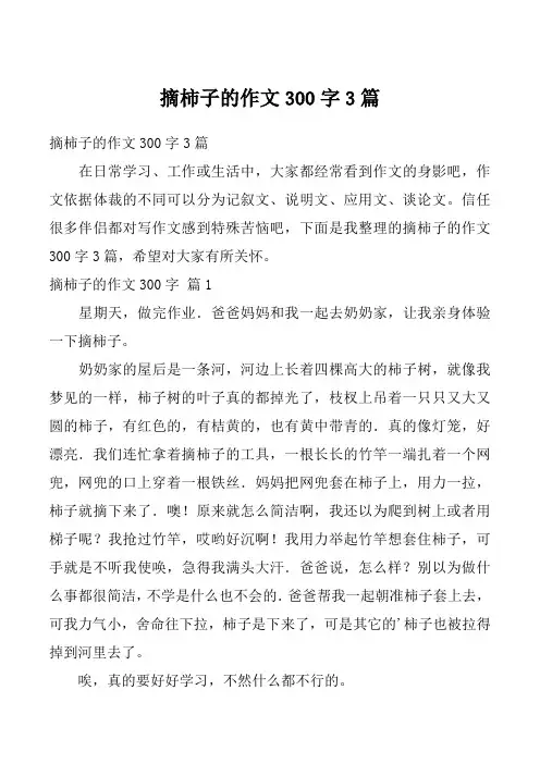 摘柿子的作文300字3篇