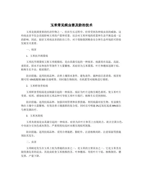 玉米常见病虫害及防治技术