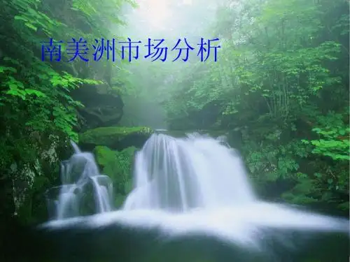 南美市场营销分析