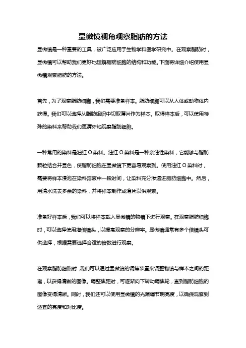 显微镜视角观察脂肪的方法