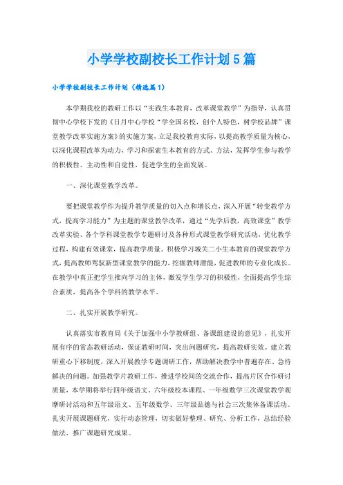 小学学校副校长工作计划5篇