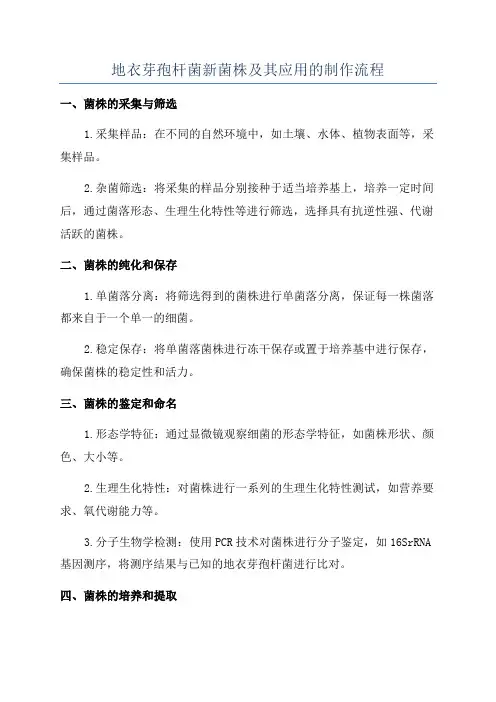地衣芽孢杆菌新菌株及其应用的制作流程
