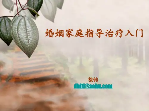 婚姻家庭治疗入门