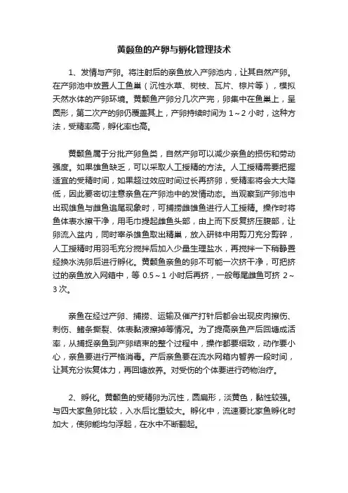 黄颡鱼的产卵与孵化管理技术