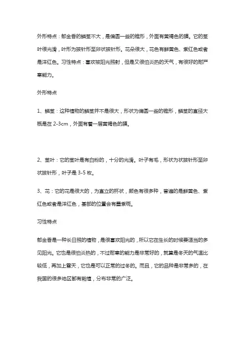 郁金香的特点和外貌