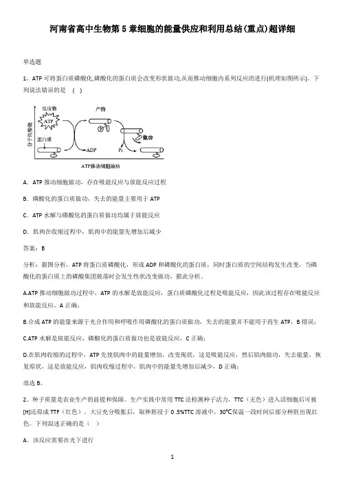 河南省高中生物第5章细胞的能量供应和利用总结(重点)超详细