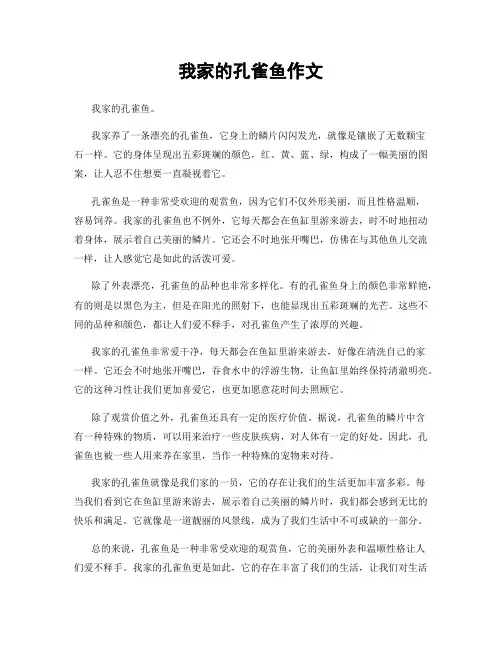 我家的孔雀鱼作文