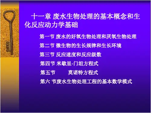 废水生物处理的基本概念和生化反应动力学基础PPT课件