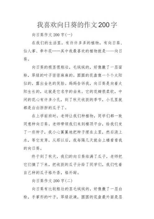 我喜欢向日葵的作文200字