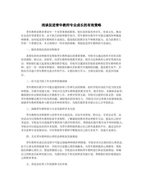 浅谈促进青年教师专业成长的有效策略