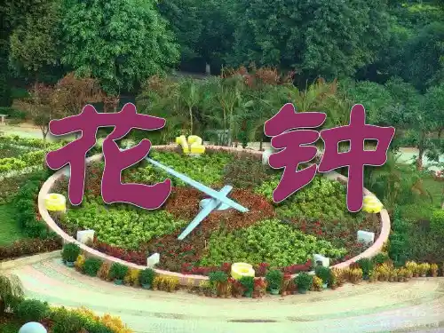 部编版三年级上册语文《花钟》教学课件PPT复习