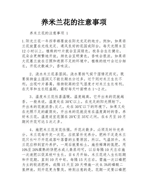 养米兰花的注意事项