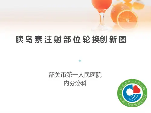 胰岛素注射部位轮换创新图(内分泌科)PPT课件