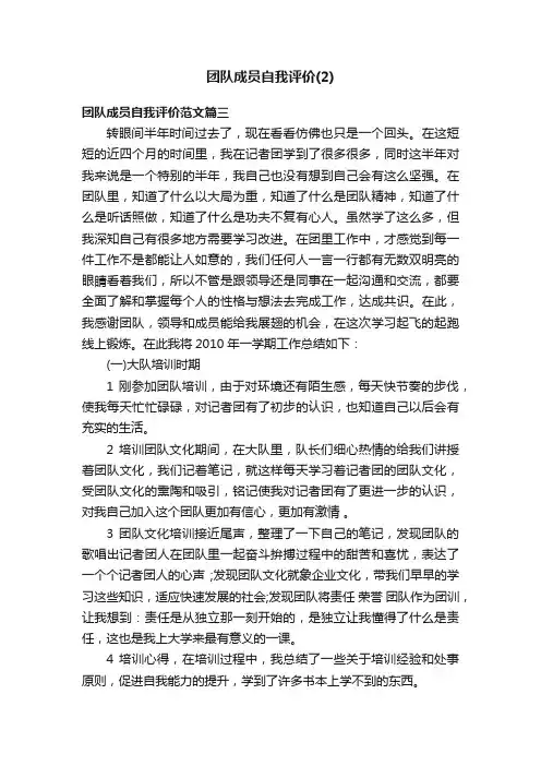 团队成员自我评价（2）