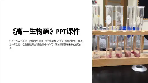 《高一生物酶》课件
