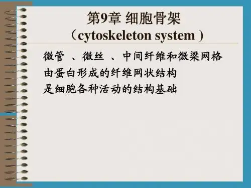 【细胞生物学】第9章 细胞骨架