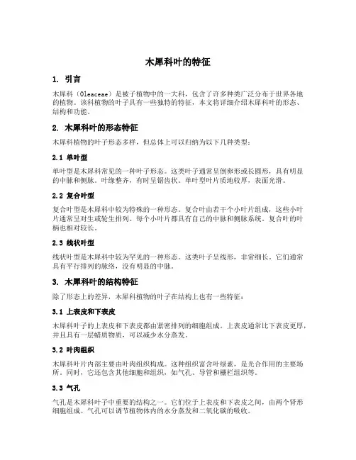 木犀科叶的特征