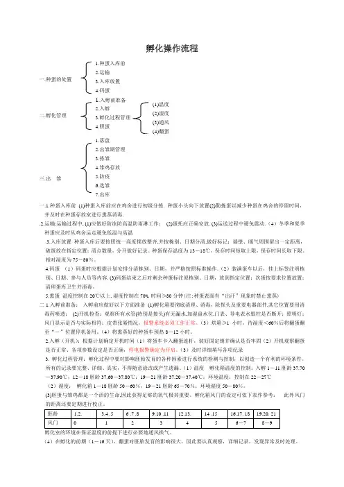 孵化操作流程