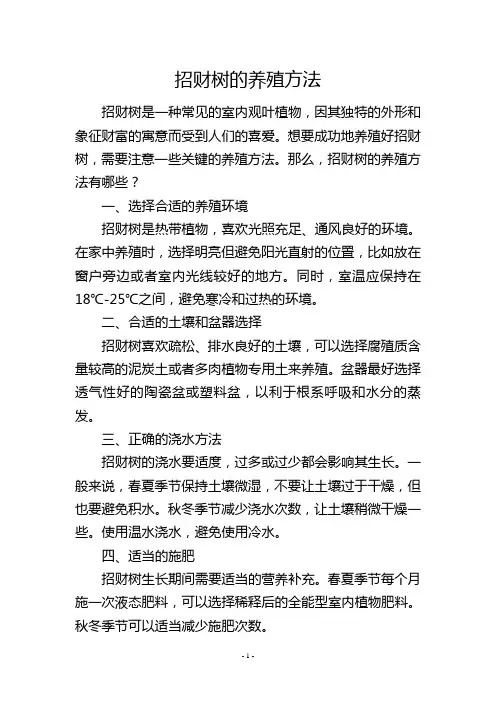 招财树的养殖方法