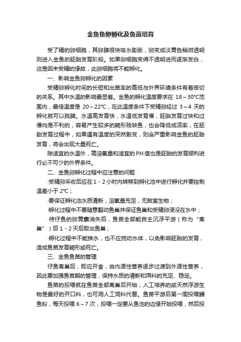金鱼鱼卵孵化及鱼苗培育