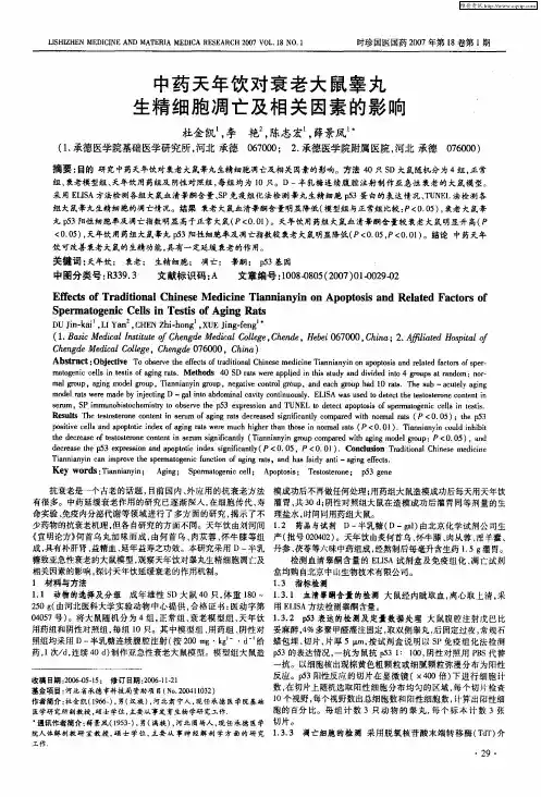 中药天年饮对衰老大鼠睾丸生精细胞凋亡及相关因素的影响