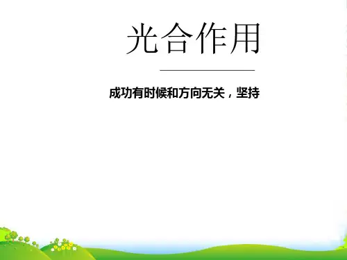 人教版高中生物必修(一)5.4能量之源 — 光与光合作用 课件 (共18张PPT)