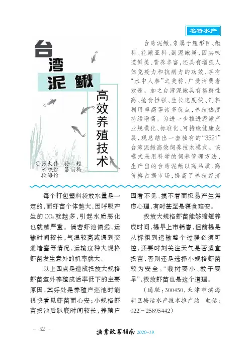 台湾泥鳅高效养殖技术