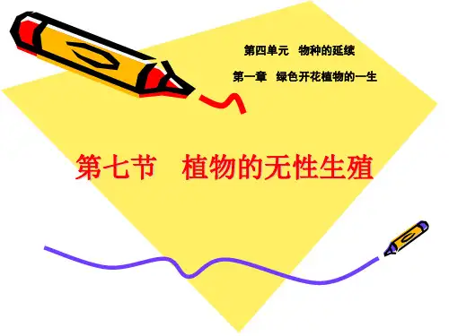 初中生物  植物的无性生殖2 济南版精品课件
