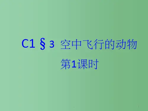 八年级生物上册《5.1.3空中飞行的动物》课件 新人教版