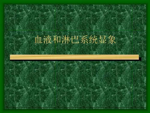 【核医学】血液和淋巴系统显象
