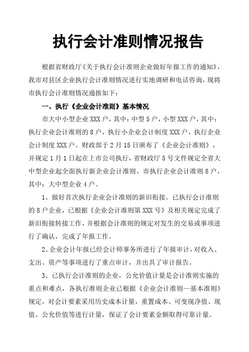 执行会计准则情况报告