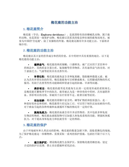 梅花鹿的功能主治