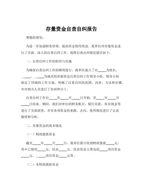 存量资金自查自纠报告