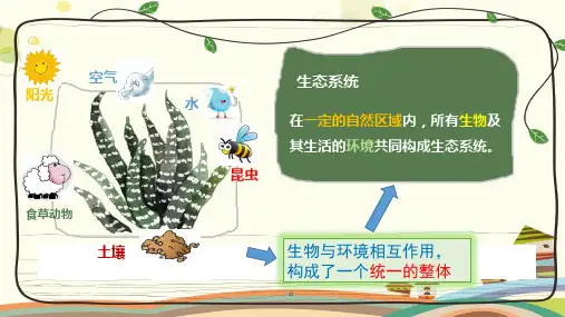 生物北师大八年级下册 生物与环境生态系统概述PPT