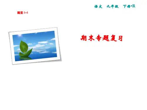 2019春人教部编版九年级语文下册课件：期末专题复习 专题一 字音字形(共14张PPT)